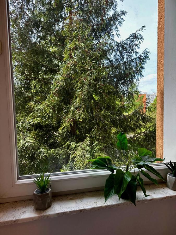 #7 Uroczy pokój niedaleko morza w Gdańsku ! Exterior foto